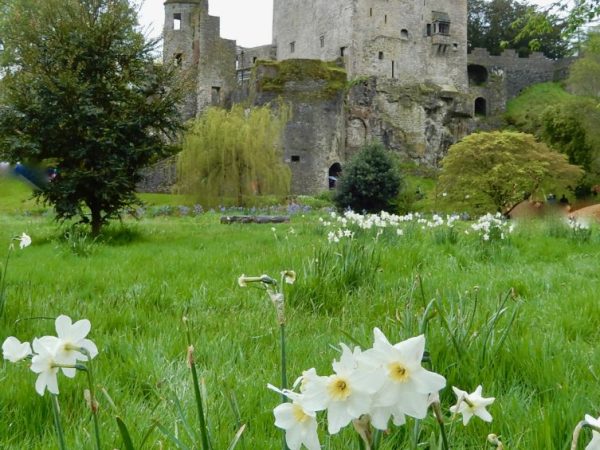 A Visitor’s Guide to Blarney Castle: Kissing the&nbsp;Stone