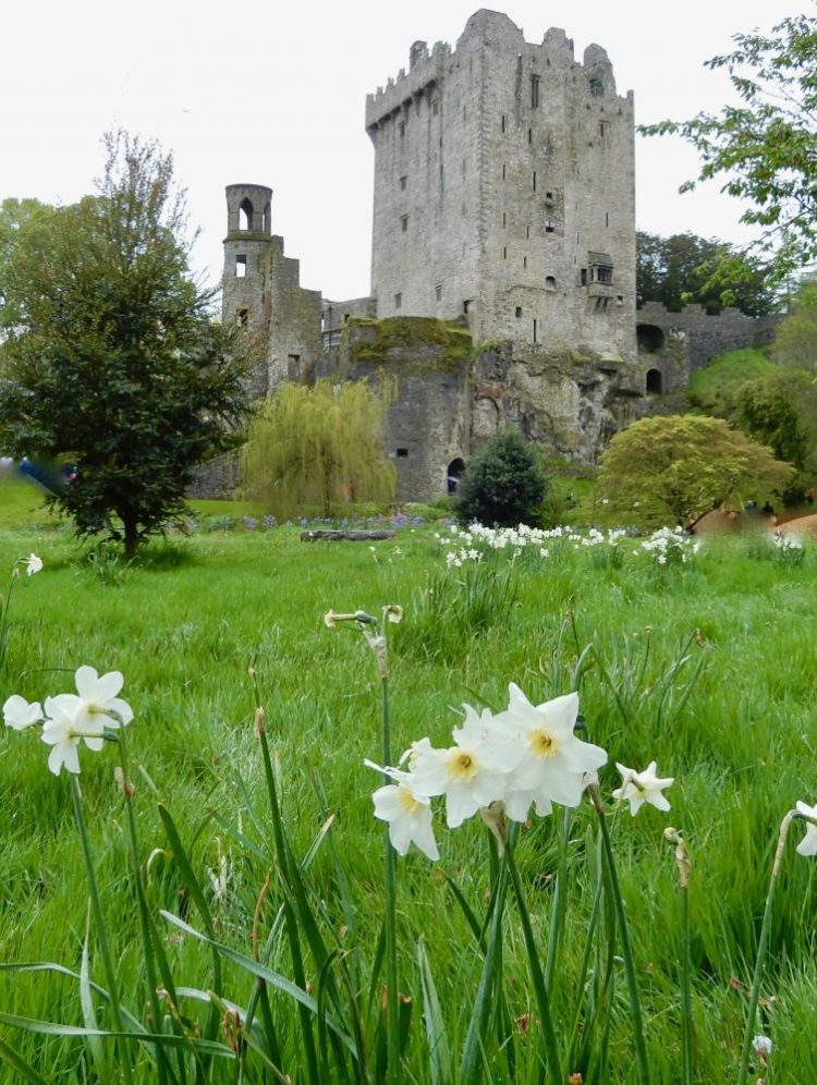 A Visitor’s Guide to Blarney Castle: Kissing the&nbsp;Stone