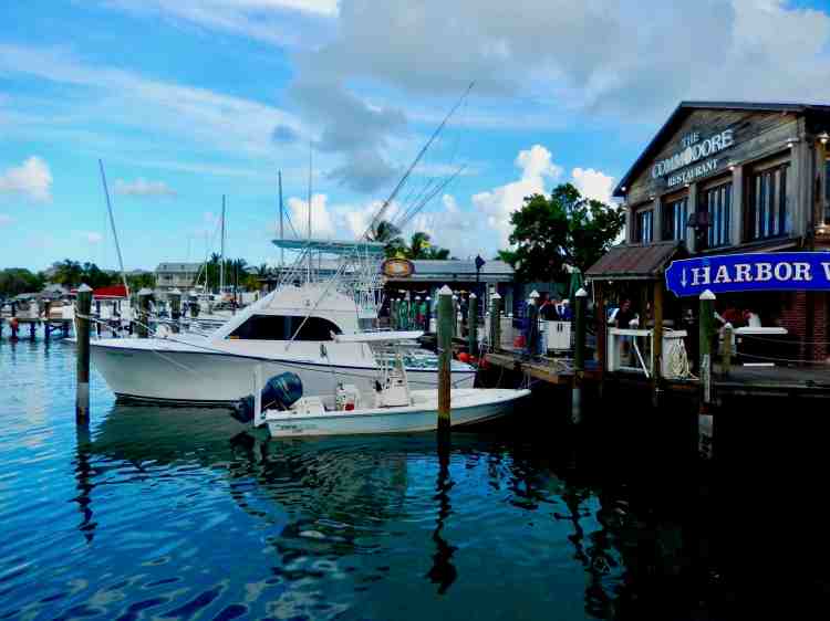 This image has an empty alt attribute; its file name is dscn6645.jpg