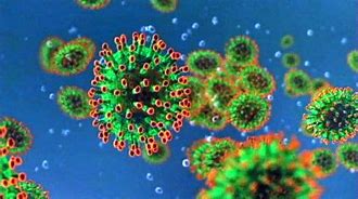 virus