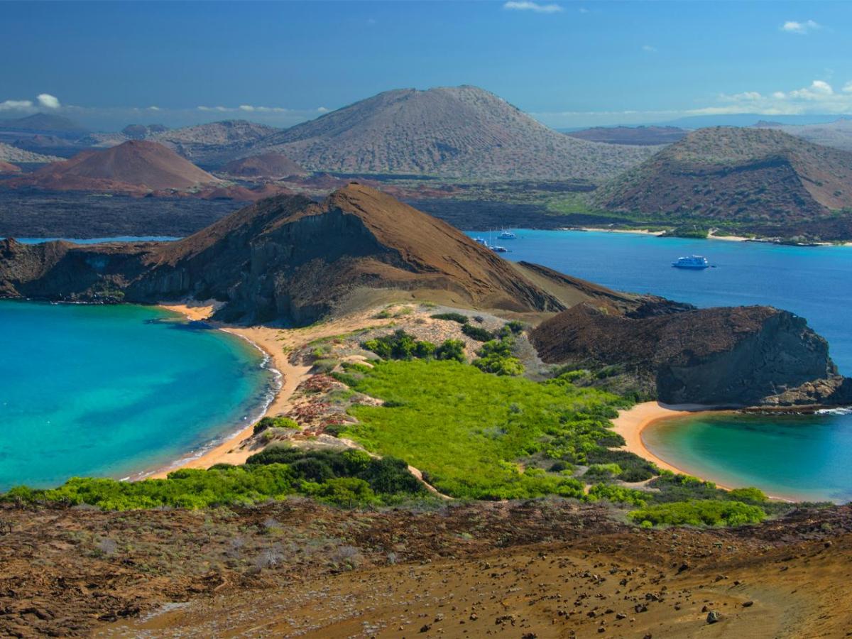 A Wild Time In The&nbsp;Galapagos