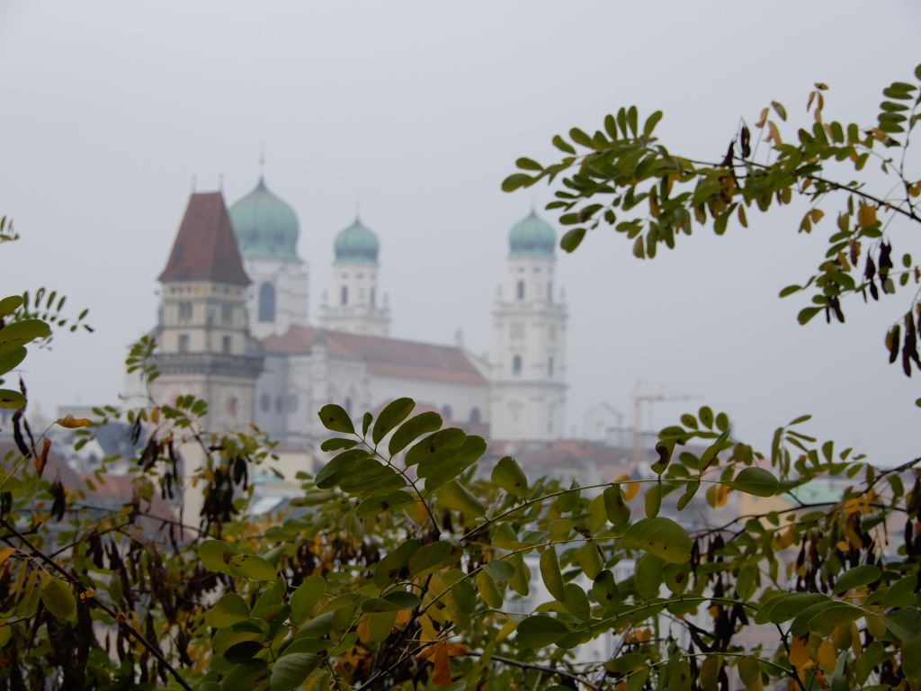 depth of field to add interest