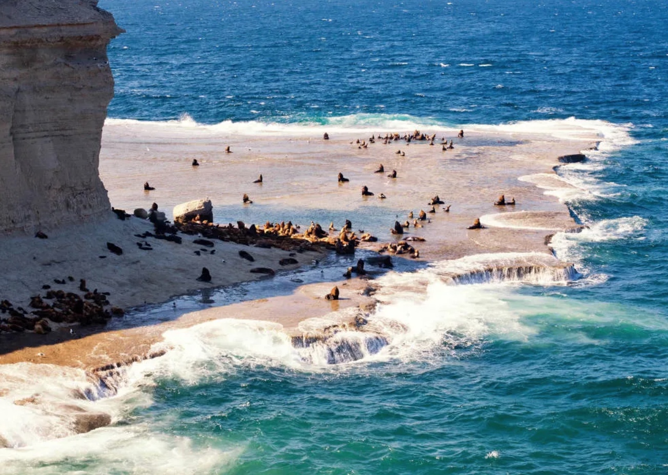Puerto Madryn, Argentina