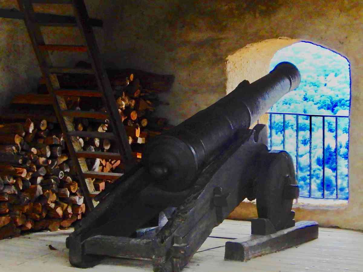Standing Watch Above The&nbsp;Rhine