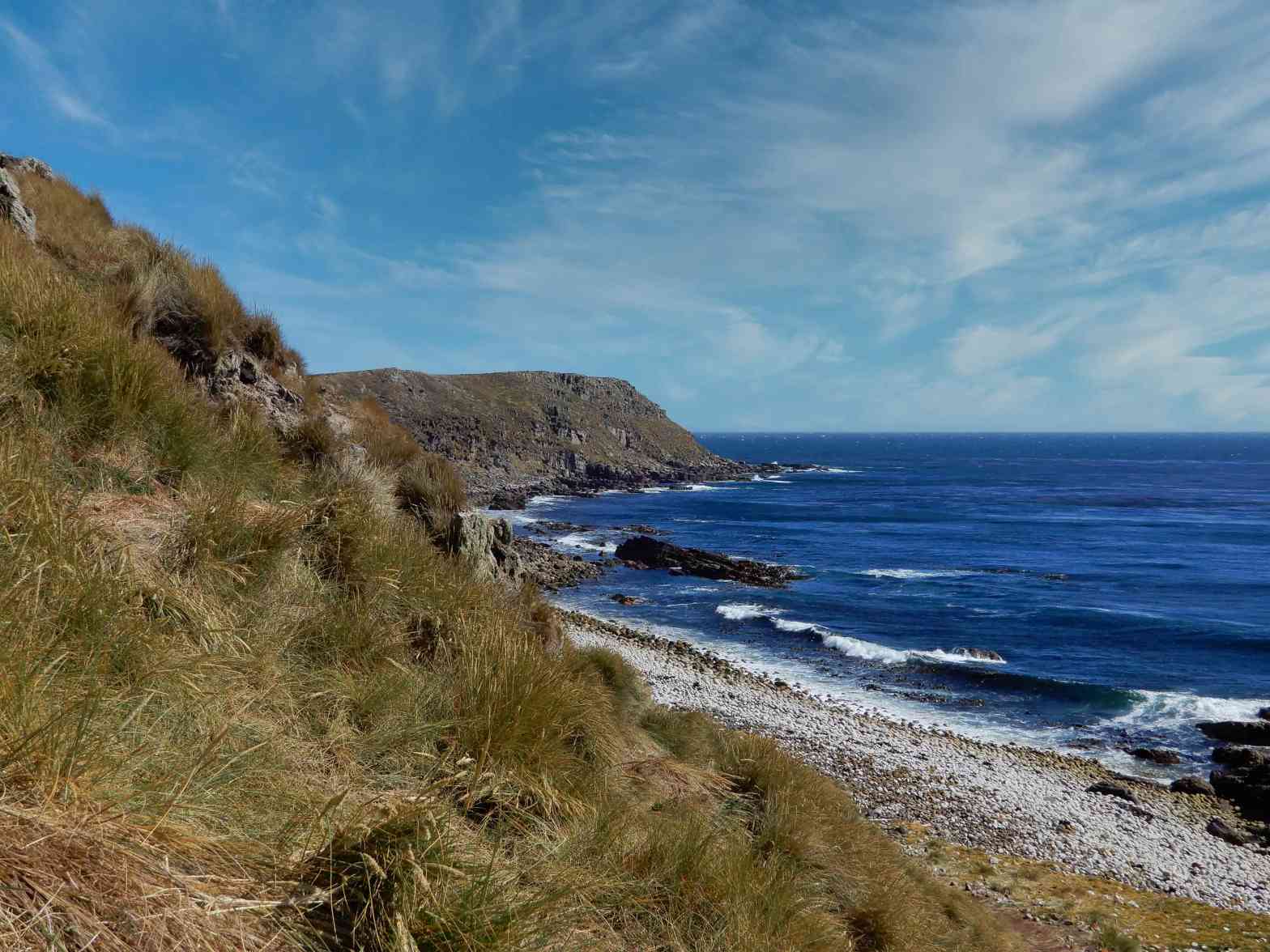 Odd Man Out In The Falklands