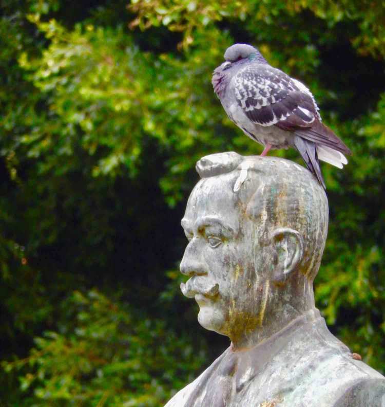 Oh My, The&nbsp;Indignity!