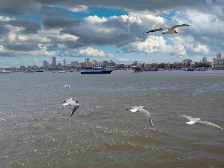 The Gateway To&nbsp;India