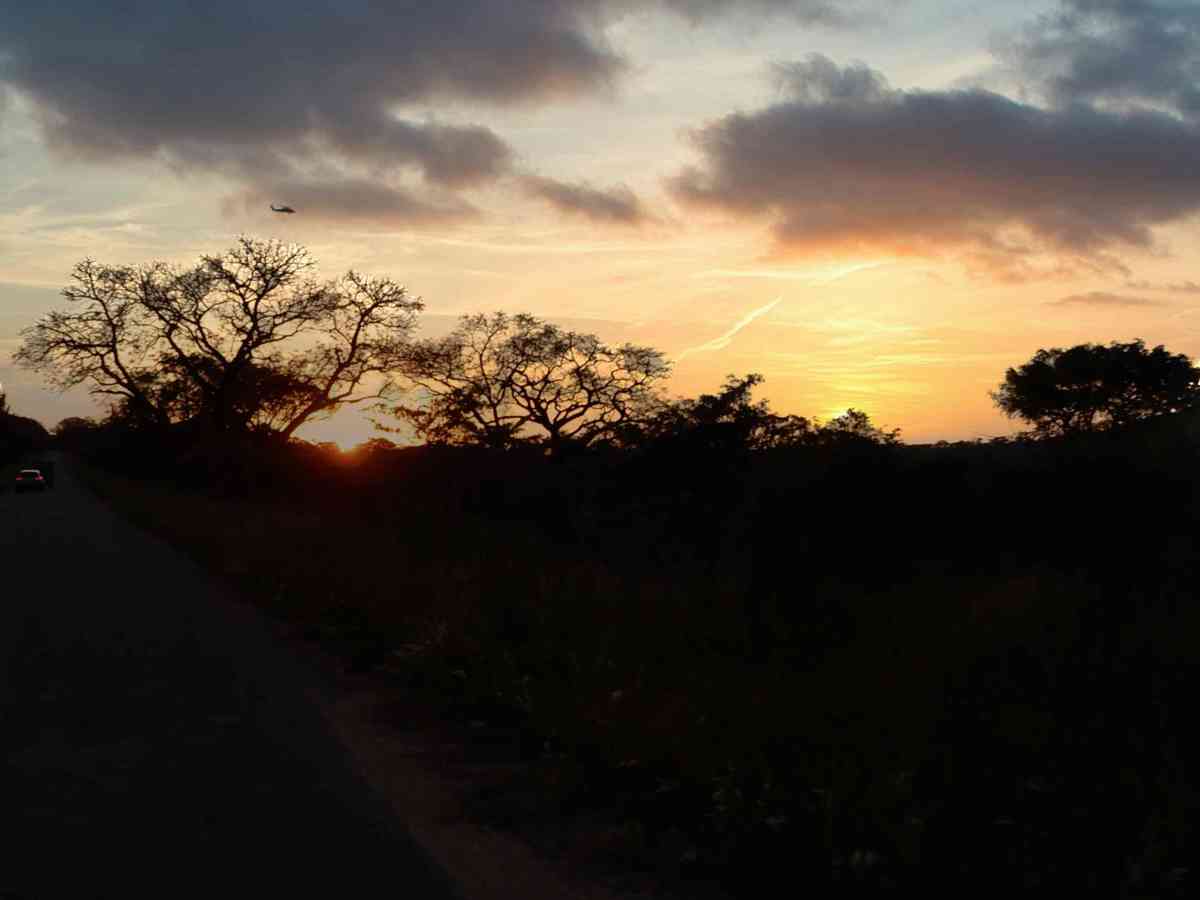 Out of South&nbsp;Africa