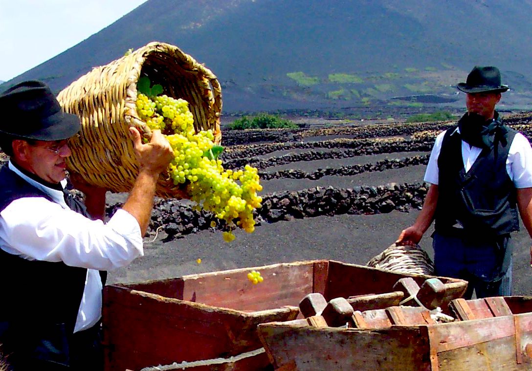 Exploring Georgia’s Amazing&nbsp;Wineries