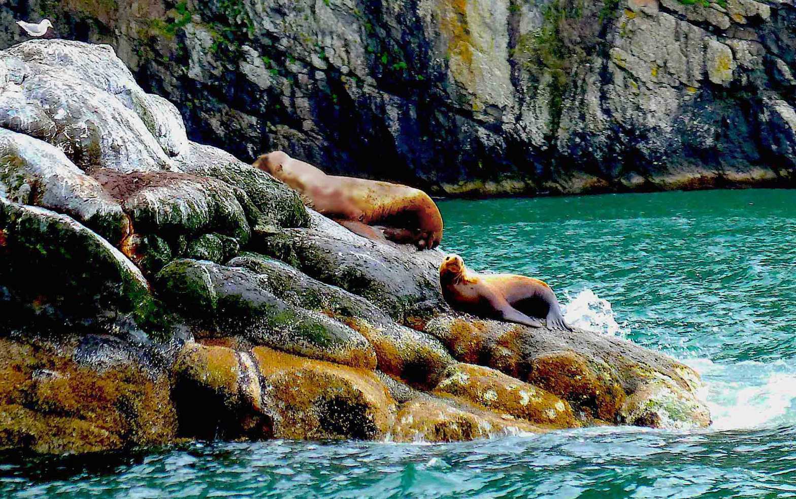 Image Of The Day • Puppy&nbsp;Love