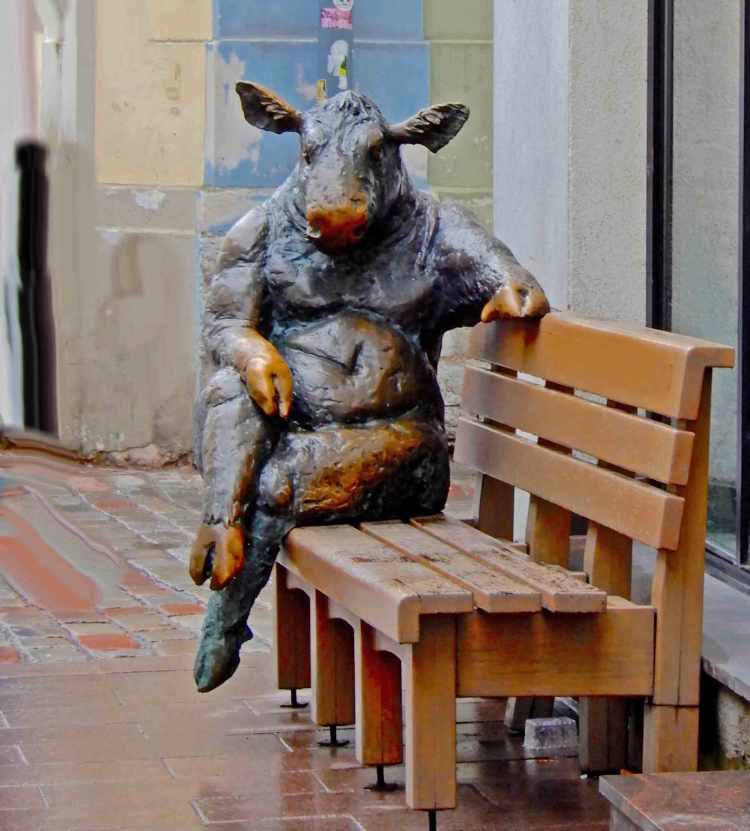 Sitting And Shooting The&nbsp;Bull