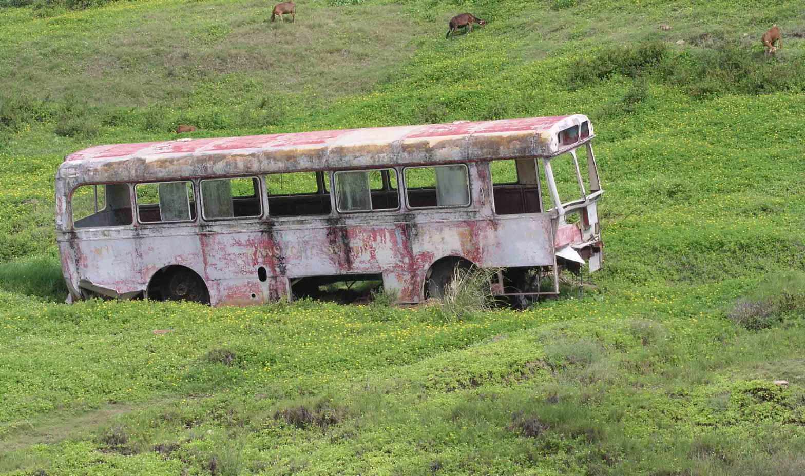 Todays Image • Last&nbsp;Stop