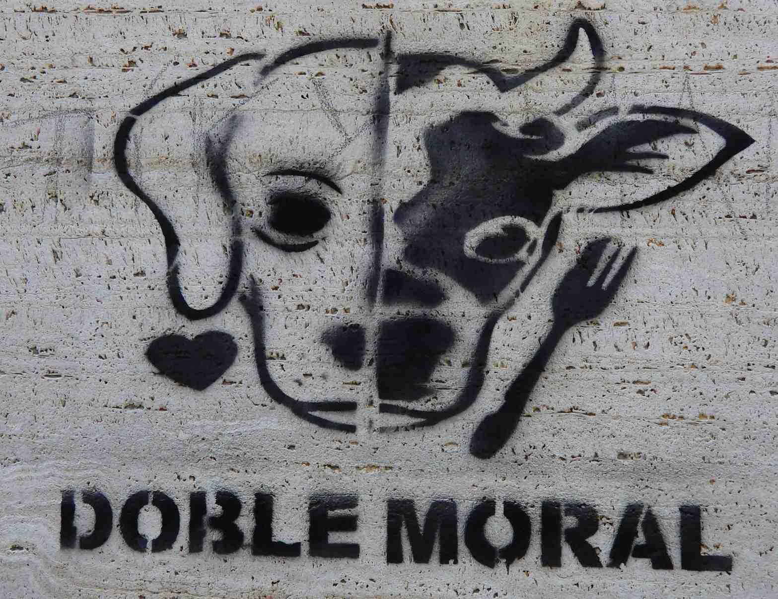 Todays Images • Montevideo Protest&nbsp;Art