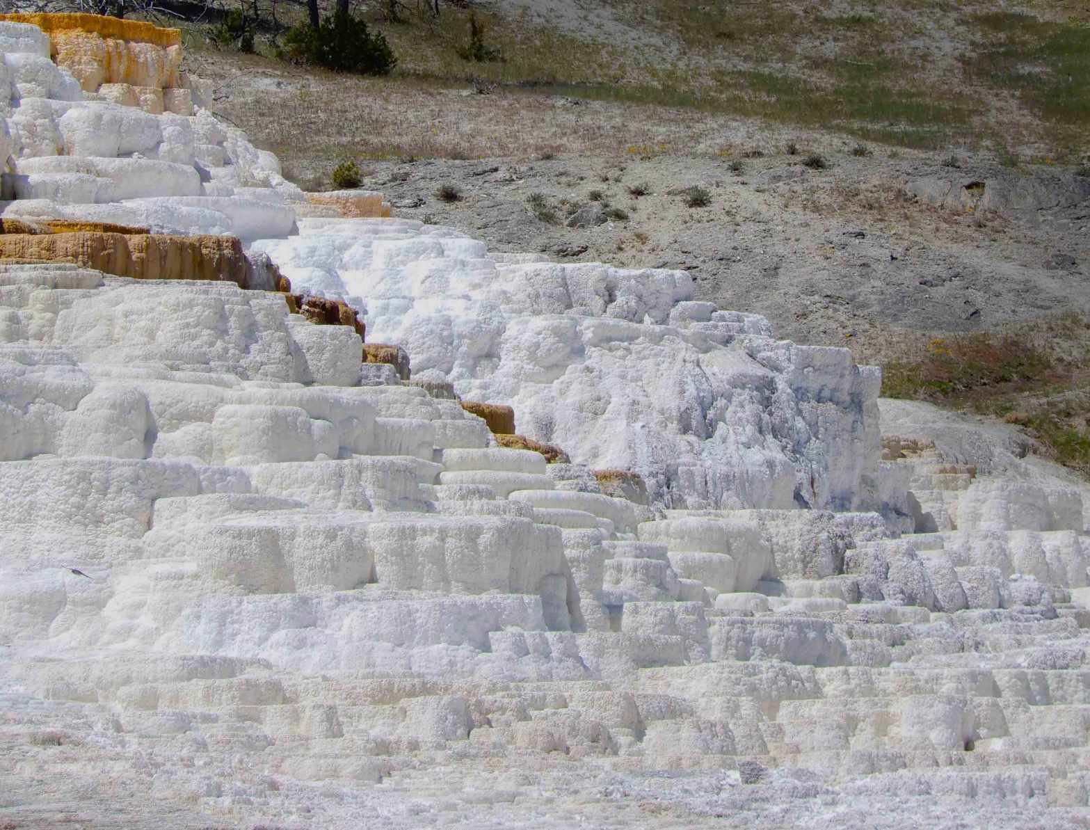 Todays Images, Mammoth Springs, Yellowstone National&nbsp;Park