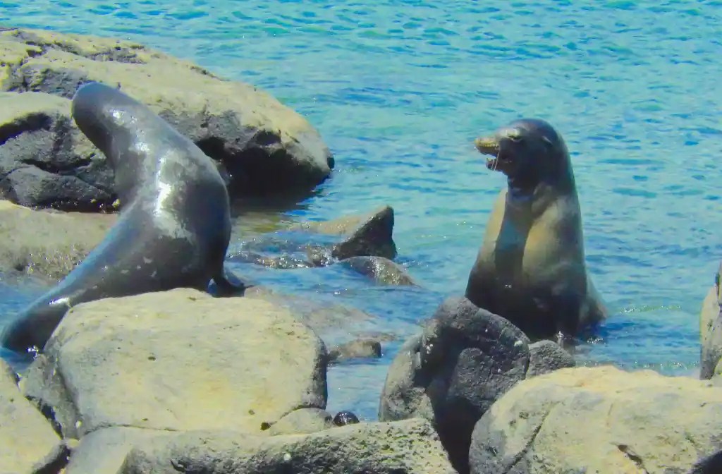 San Cristobal, Galapagos