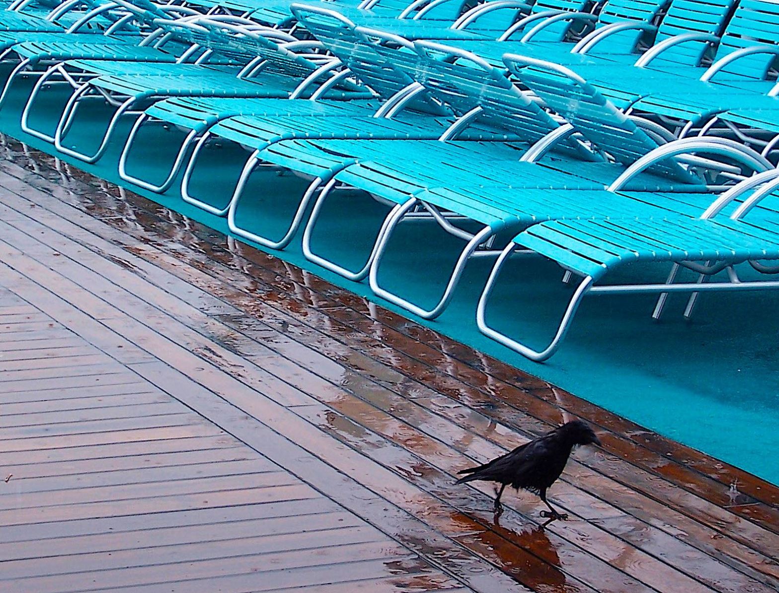 Spring Cruise In Alaska They Suggested&nbsp;*#!>**!