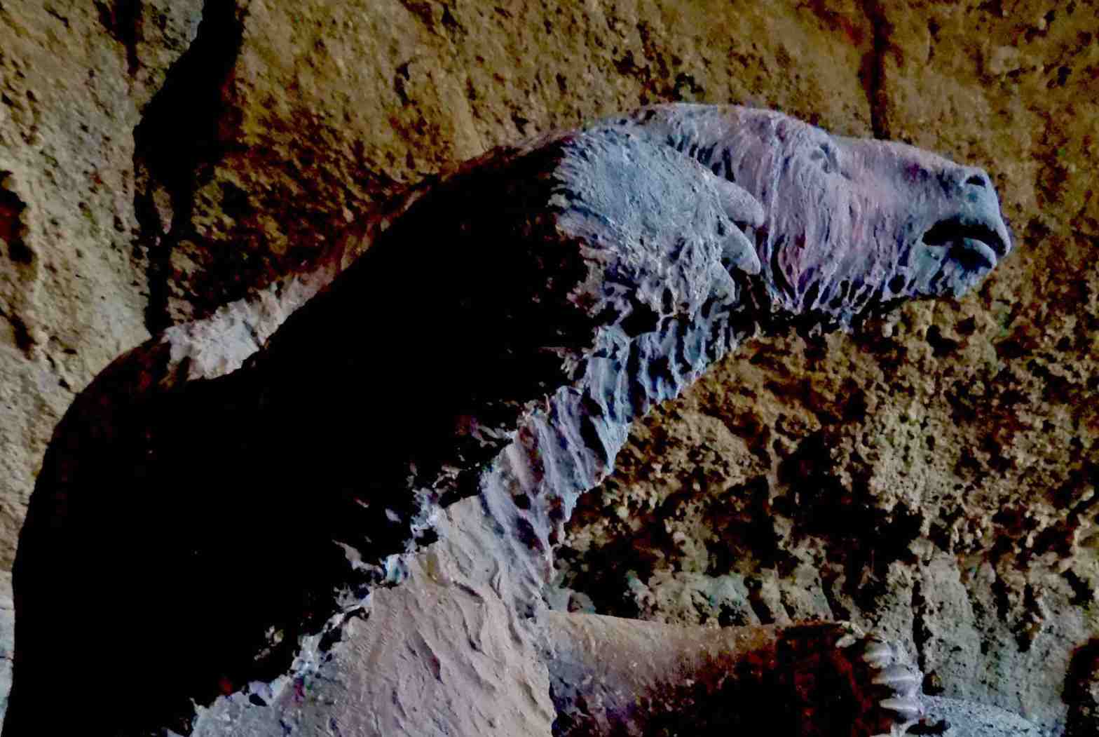 In The Lair Of The Milodón