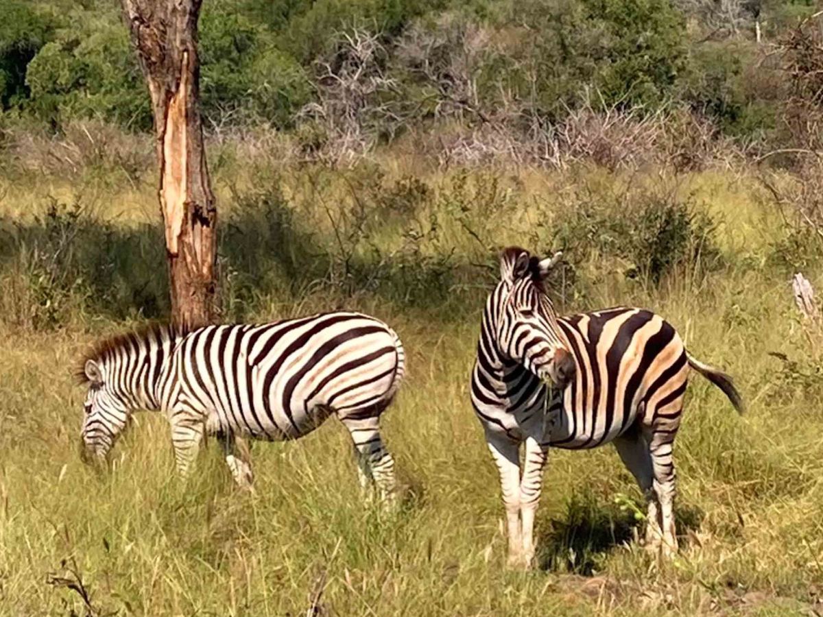 Images From The Wilds Of&nbsp;Africa